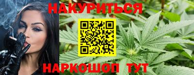 mdpv Гатчина