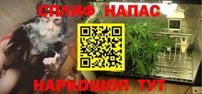 mdpv Гатчина