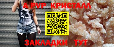 ешки Гай