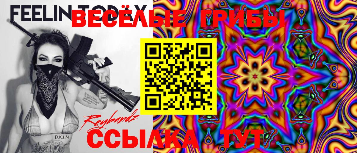 Галлюциногенные грибы Psilocybe Кашира