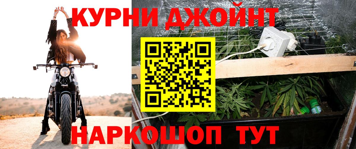 МЕФ Кашира